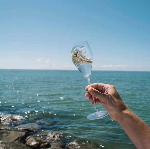 Zalto Denk'Art Champagne Glass