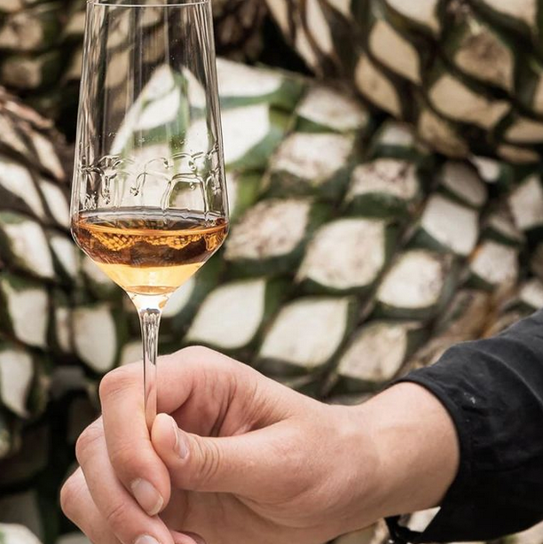 Zalto Denk'Art Digestif Glass - Boxed Set of 2